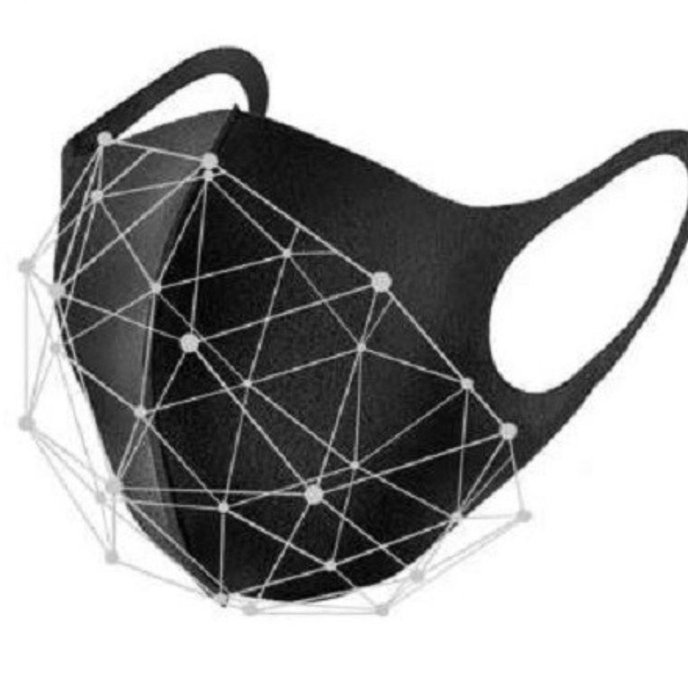 (2) Washable Face masks